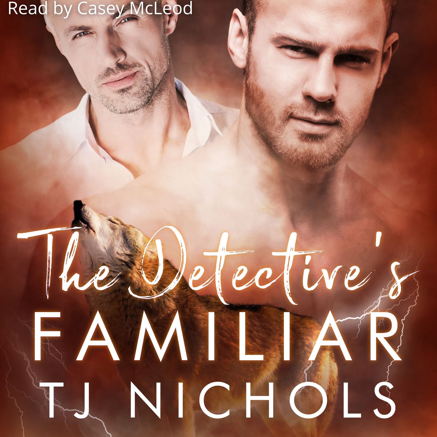 The Detective's Familiar - Familiar Mates book 5 (AUDIOBOOK)