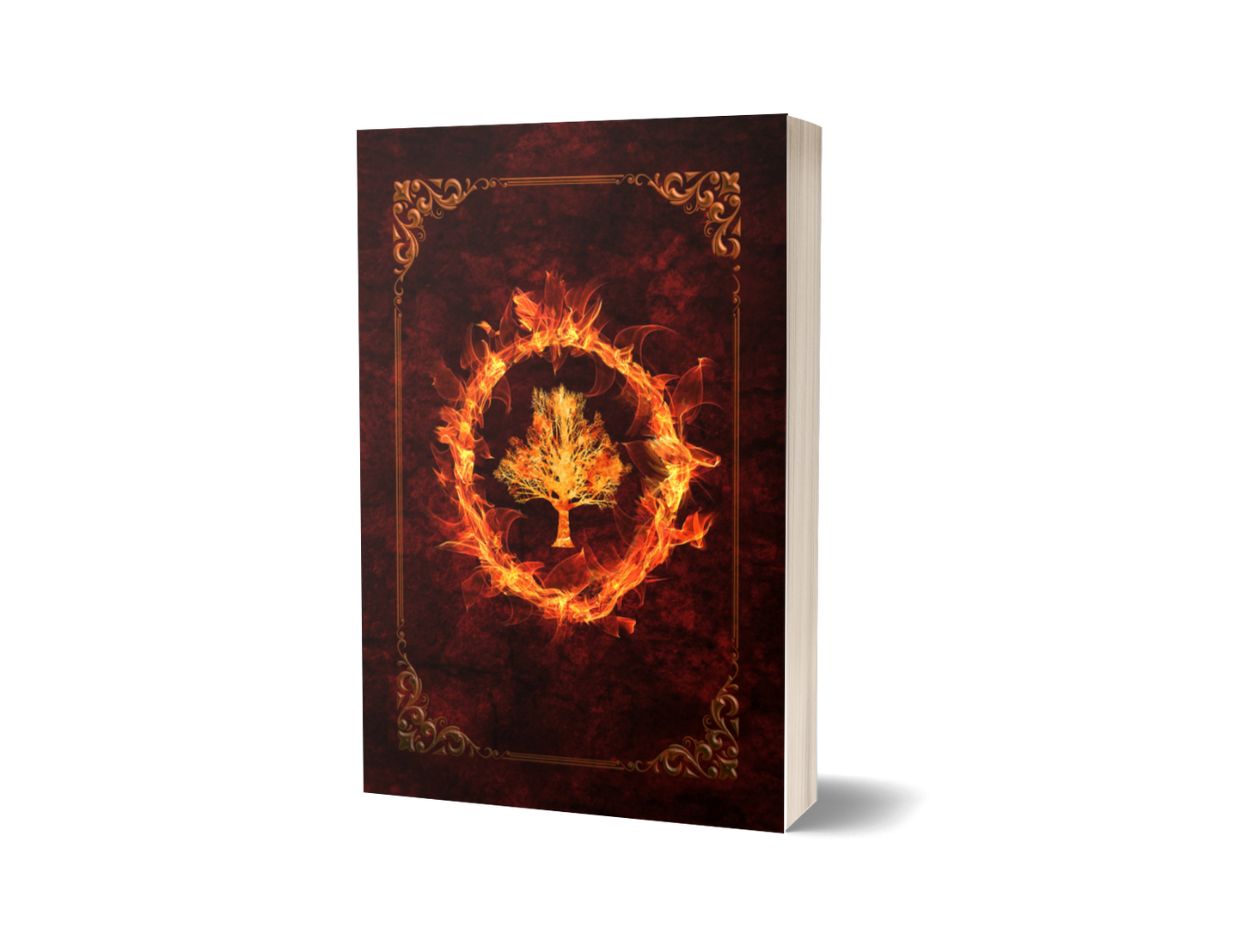 Special Edition: Studies in Demonology Trilogy (3 x paperback - Hand Signed)