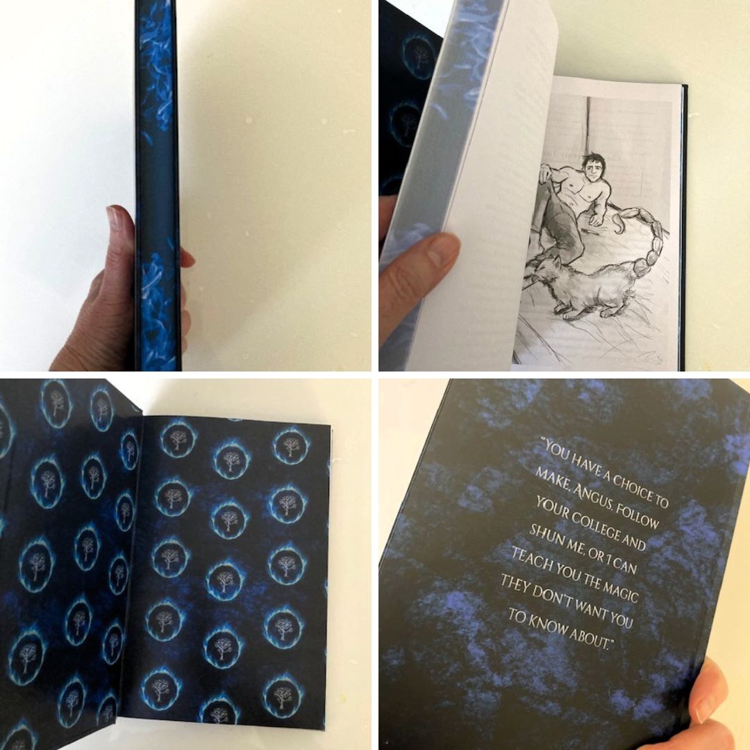 Warlock in Training - mm fantasy romance illustrated hardback