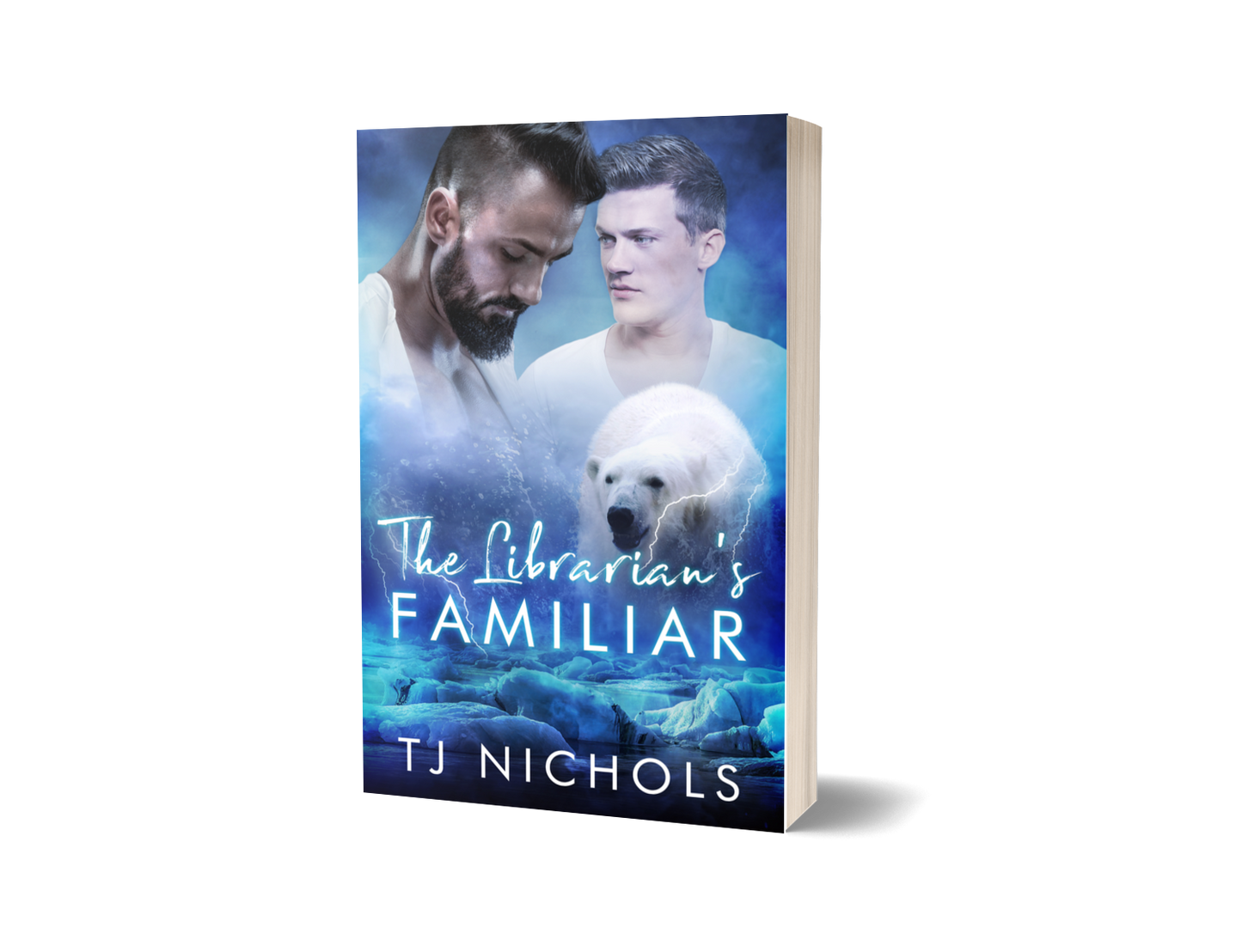 The Librarian's Familiar - Familiar Mates book 13 (Paperback)